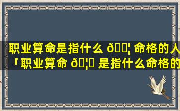 职业算命是指什么 🐦 命格的人「职业算命 🦈 是指什么命格的人呢」